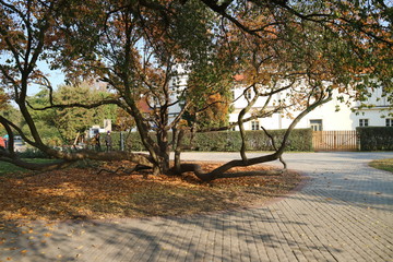 bench in the park