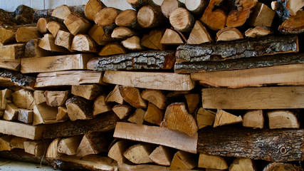 oak firewood stacked on top of each other