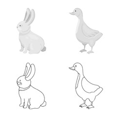 Vector design of breeding and kitchen sign. Collection of breeding and organic vector icon for stock.