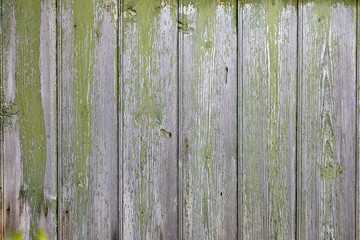 Wood texture of old boards with wiped green paint.