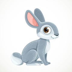 Cute cartoon rabbit isolated on white background