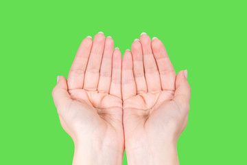 Point of view photography of two female hands in gesture of asking, praing, giving or showing...