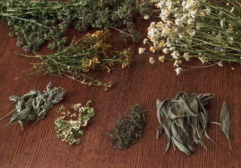 Dry herbs on wooden table