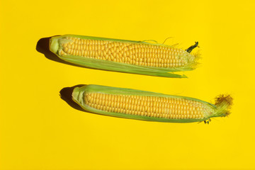 Abstract food background. Two yellow corn on a yellow background.