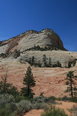 Zion National Park - Checkerboard Mesa -Utah, USA