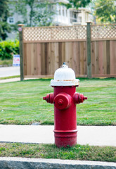 Fototapeta na wymiar FIRE HYDRANT in a residential area painted in red and white colors