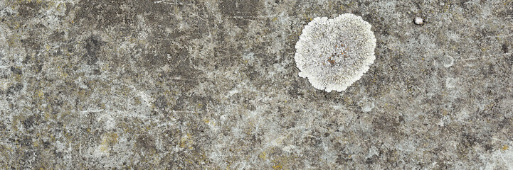 Nature stone background