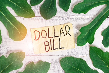 Conceptual hand writing showing Dollar Bill. Concept meaning a piece of paper money worth one...