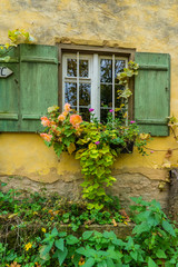 Fototapeta na wymiar Bad Windsheim, Germany - 16 October 2019: View on a window with autumnal flowers, romantic autumn. Ancient German villages.
