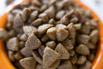 Dry pet food in a orange bowl