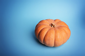 Pumpkin on a light blue background. Close-up.