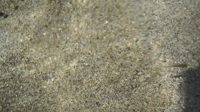 Close up of a beautiful clean water in slow motion with small swimming fishes.