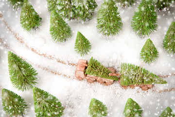 Christmas Tree on a Truck in the Forest