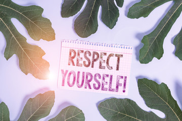 Word writing text Respect Yourself. Business photo showcasing believing that you good and worthy...