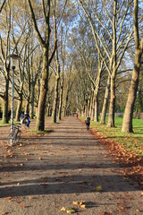 University of Cologne