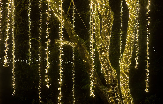 Beautiful Display Of Hanging Fairy Lights On A Large Willow Tree At Night