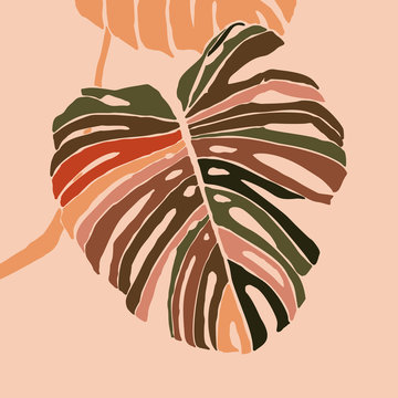 Tropical monstera leaves in a minimalist trendy style. Silhouette of a plant in a contemporary simple abstract style. Vector illustration collage. For t-Shirt Print, card, poster, social media post
