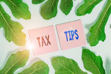 Text sign showing Tax Tips. Business photo text compulsory contribution to state revenue levied by government Leaves surrounding notepaper above an empty soft pastel table as background