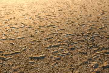 Dried bubbles on the sand