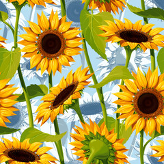 Seamless vector pattern of realistic sunflower flowers on a blue background, with stems and leaves.