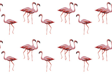 Fototapeta premium Pink flamingos on white background. Seamless pattern for fabric, paper. Summer concept design.