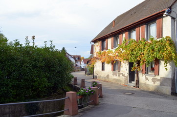 Bewachsenes Haus in Oberrotweil im Kaiserstuhl