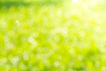 Fototapeta na wymiar green bokeh background , Beautiful abstract green blur on natural background. Light and plant with soft bokeh.