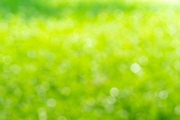 green bokeh background  , Beautiful abstract green blur on natural background. Light and plant with soft bokeh.
