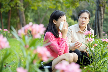 Asian child girl sneezes in paper handkerchief due to pollen allergies,woman allergy to blooming...