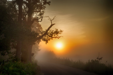 Fototapeta na wymiar Sun rise in fog