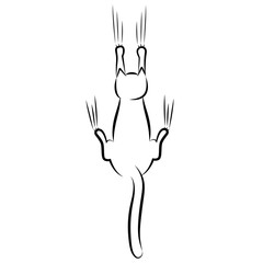 Black Cat Cartoon Scratching Wall or curtains.