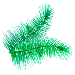 Obraz premium branch of green needles. watercolor illustration