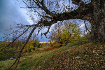 Beautiful Autumn Landscape on a November Day.
