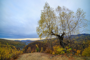 Fototapeta premium Beautiful Autumn Landscape on a November Day.