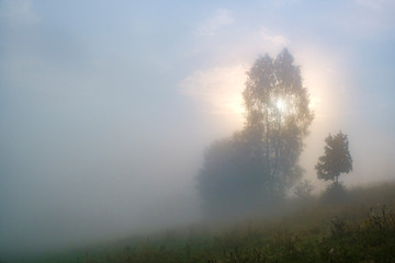 Misty landscape. Morning fog sunrise high in the Carpathian mountains. Ukraine.