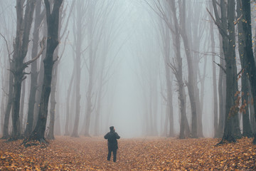 Man in tall forest in fog or mist. Dark spooky forest with man wondering in the nature with tourist...