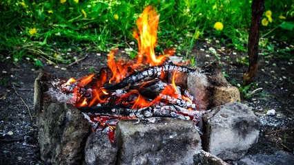 stone fire in the forest