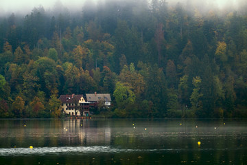 Early foggy morning on the Bled lake