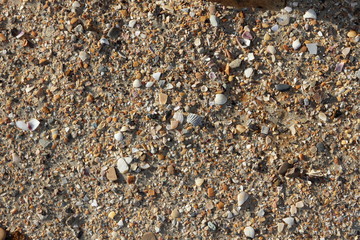 sea sand