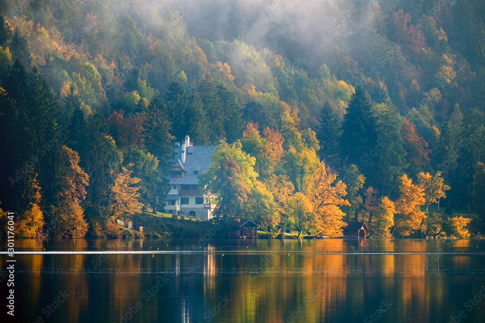 Wall mural early foggy morning on the bled lake