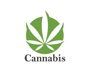cannabis leaf vector icon illustration design