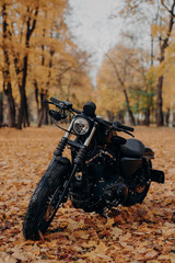 Vertical image of black motorbike in autumn park. Fast motorcycle outdoor for having ride. Outdoor...