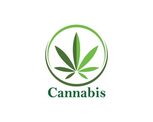 cannabis leaf vector icon illustration design