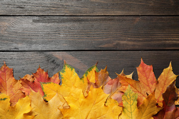 Naklejka na ściany i meble Beautiful autumn leaves and space for text on wooden background, top view