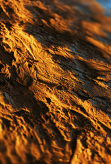 Texture of decorative plaster