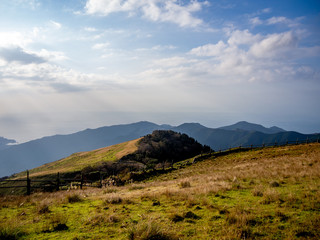 【静岡県伊豆半島】伊豆山稜線歩道からの夕景【秋・仁科峠付近】