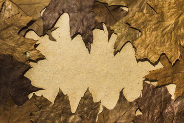 abstract autumn leaf background with place for your text