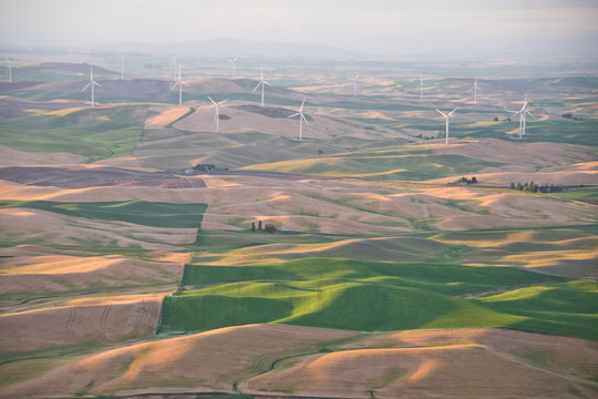 Panoramic view of Palouse farmland in Steptoe butte