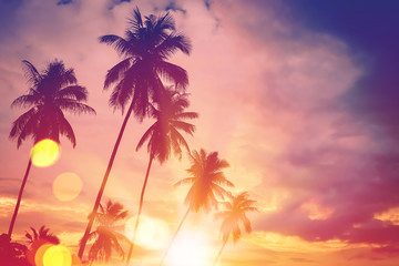 Fototapeta na wymiar Tropical palm tree with colorful bokeh sun light on sunset sky cloud abstract background.