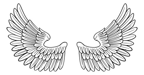 A pair of angel or eagle bird feathered wings